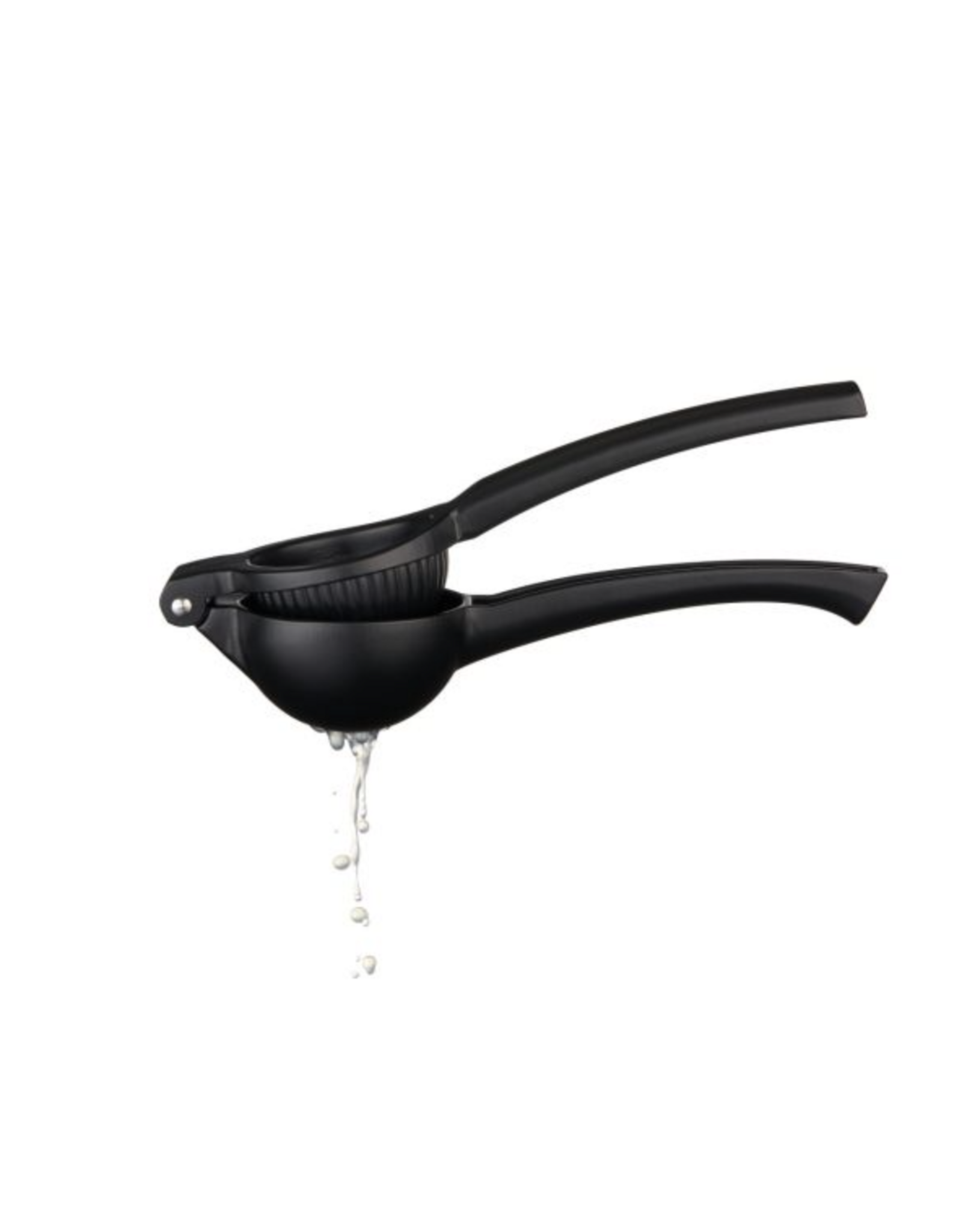 Black Citrus Press