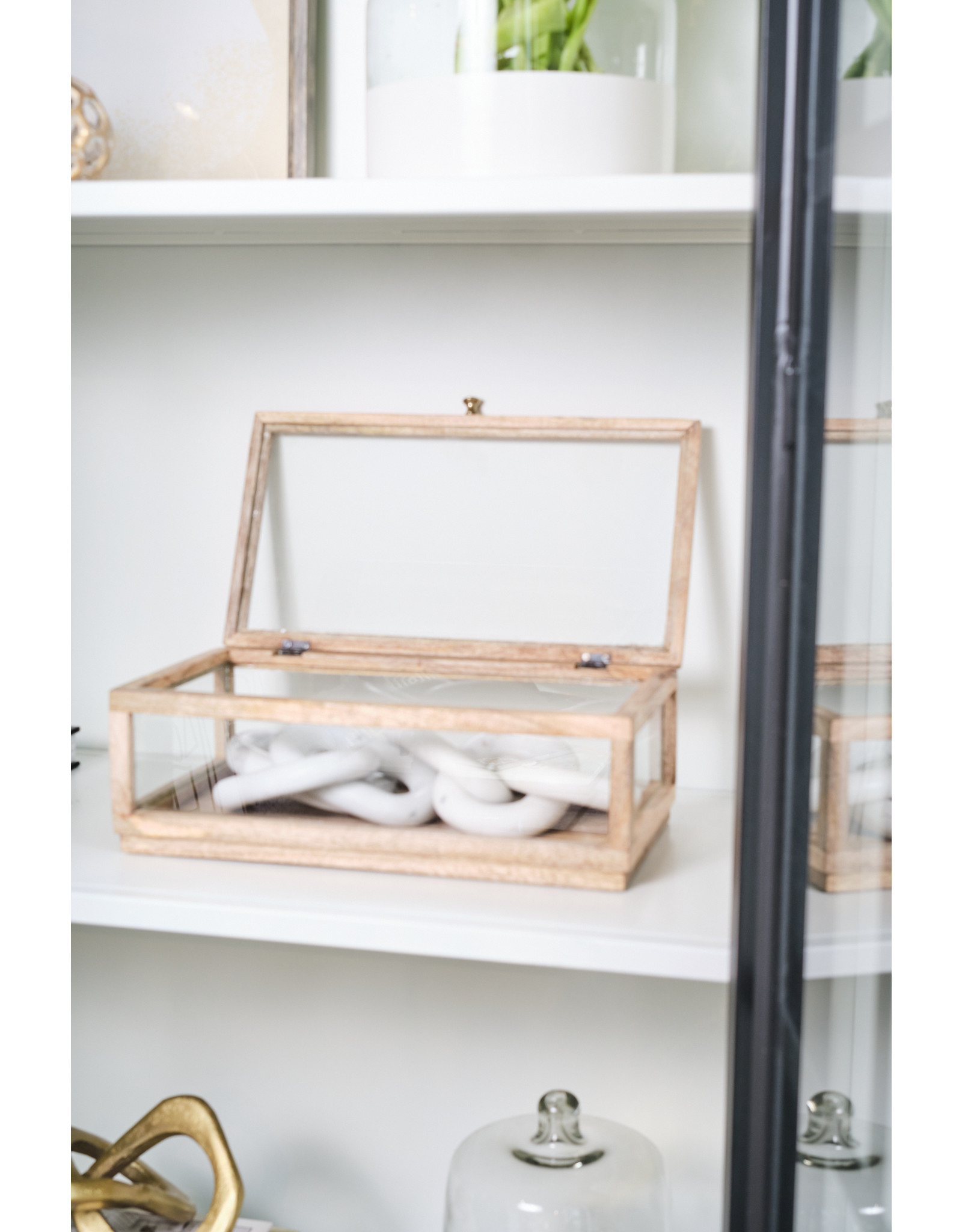 Mango Wood & Glass Display Box