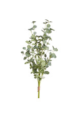 Eucalyptus Bundle 35"