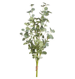 Eucalyptus Bundle 35"