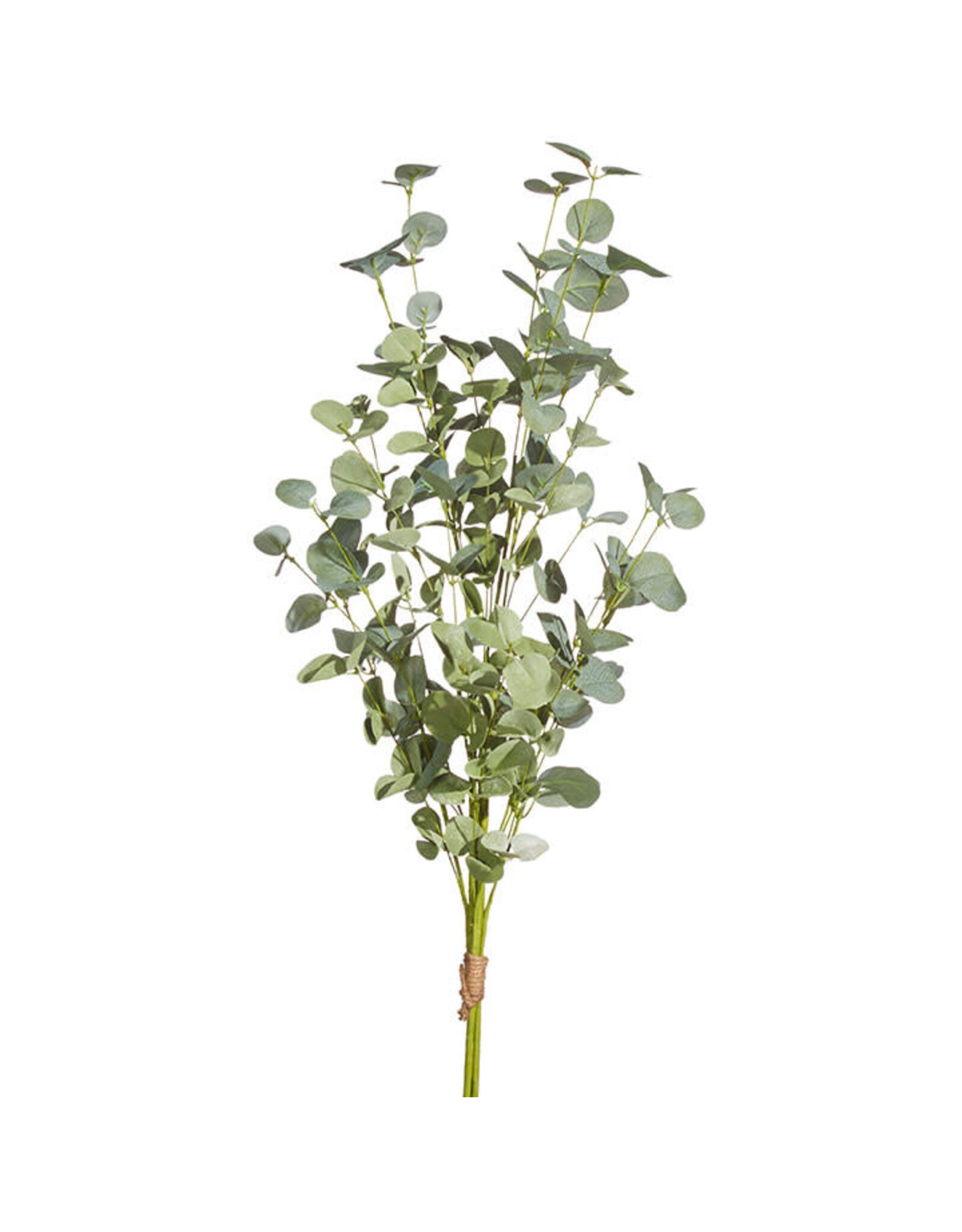 Eucalyptus Bundle 35"