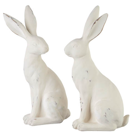 Distressed White Rabbit