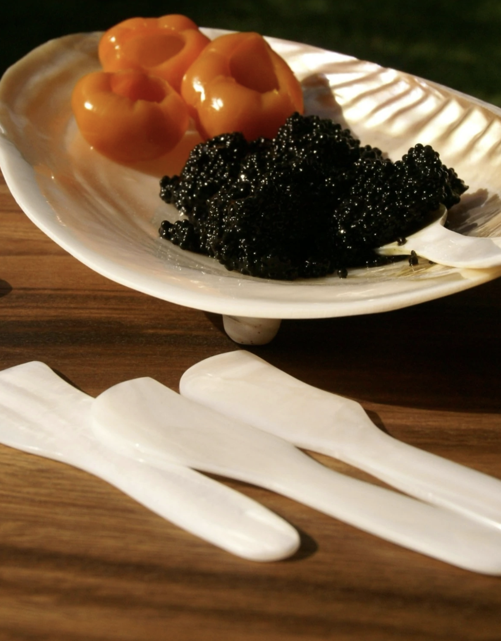 WHITE Seashell Spreaders