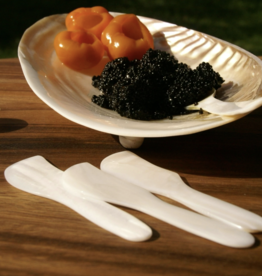 WHITE Seashell Spreaders
