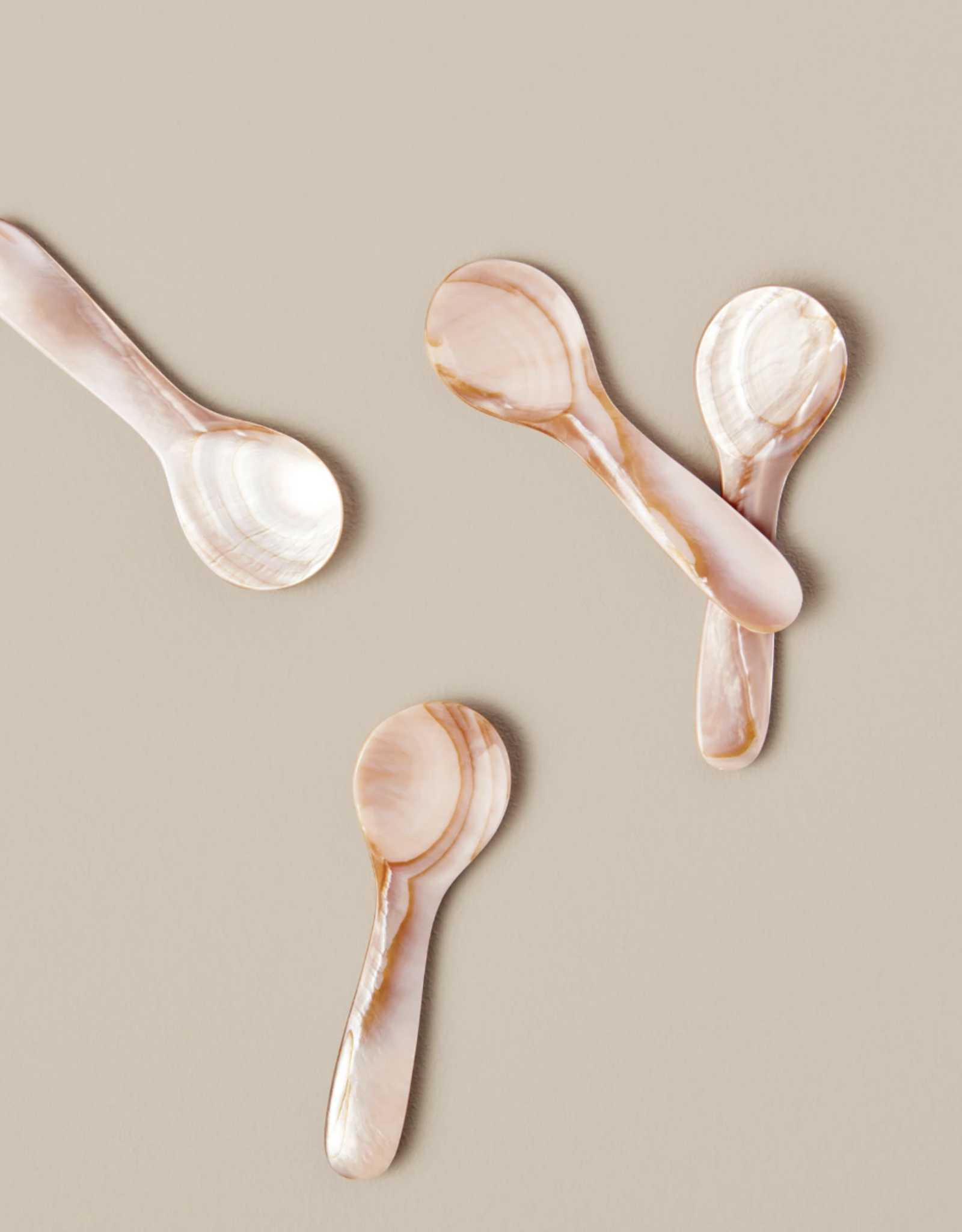 Pink & Brown Seashell Spoon, Small