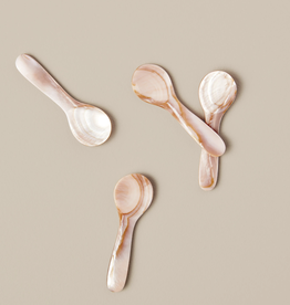 Pink & Brown Seashell Spoon, Small