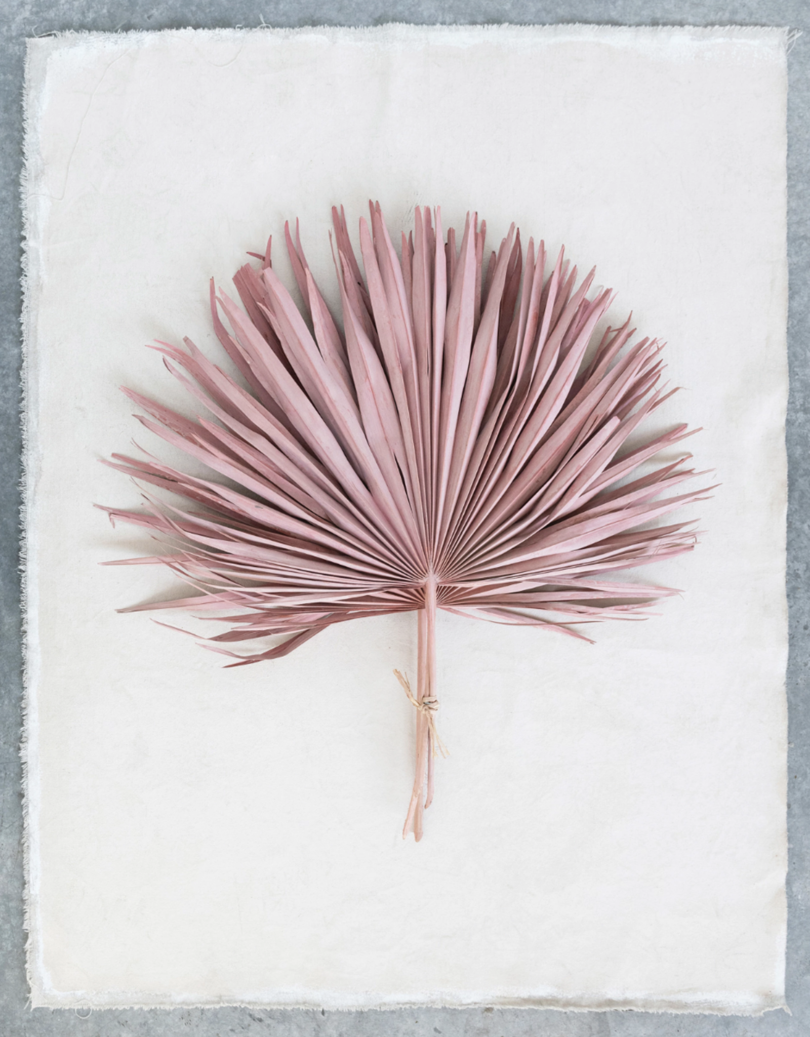 Dried Palm Leaf, Pink