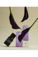 Lavender Essential Oil 10 ml