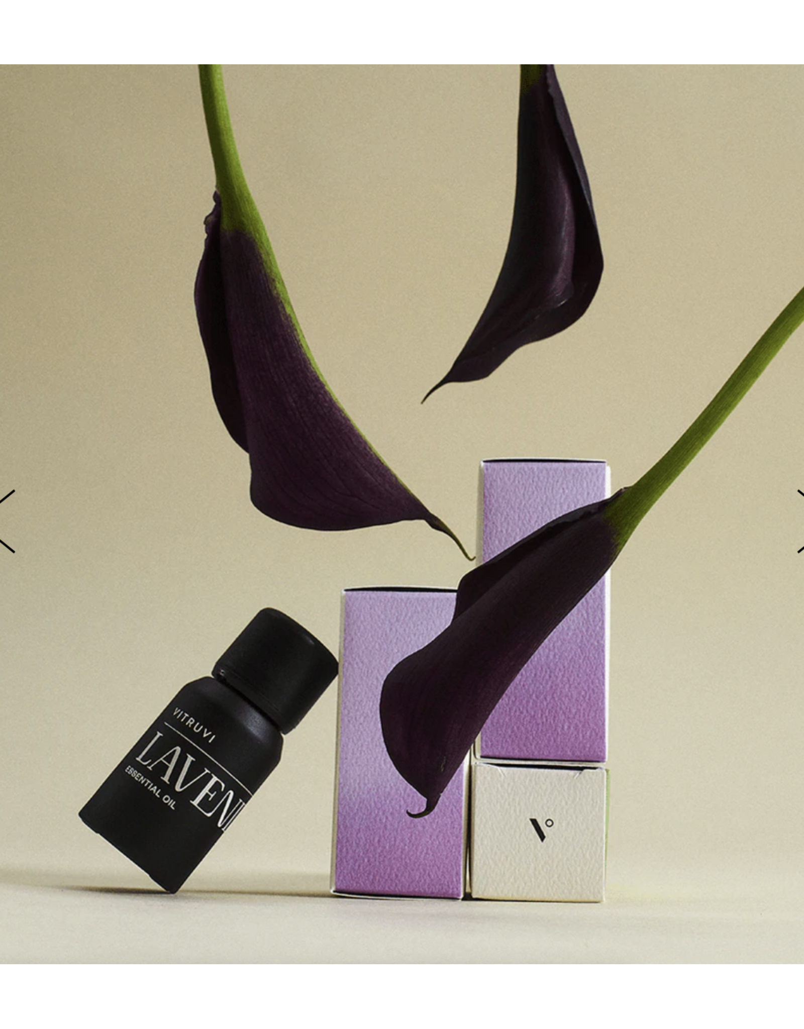 Lavender Essential Oil 10 ml