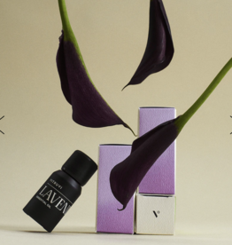 Lavender Essential Oil 10 ml