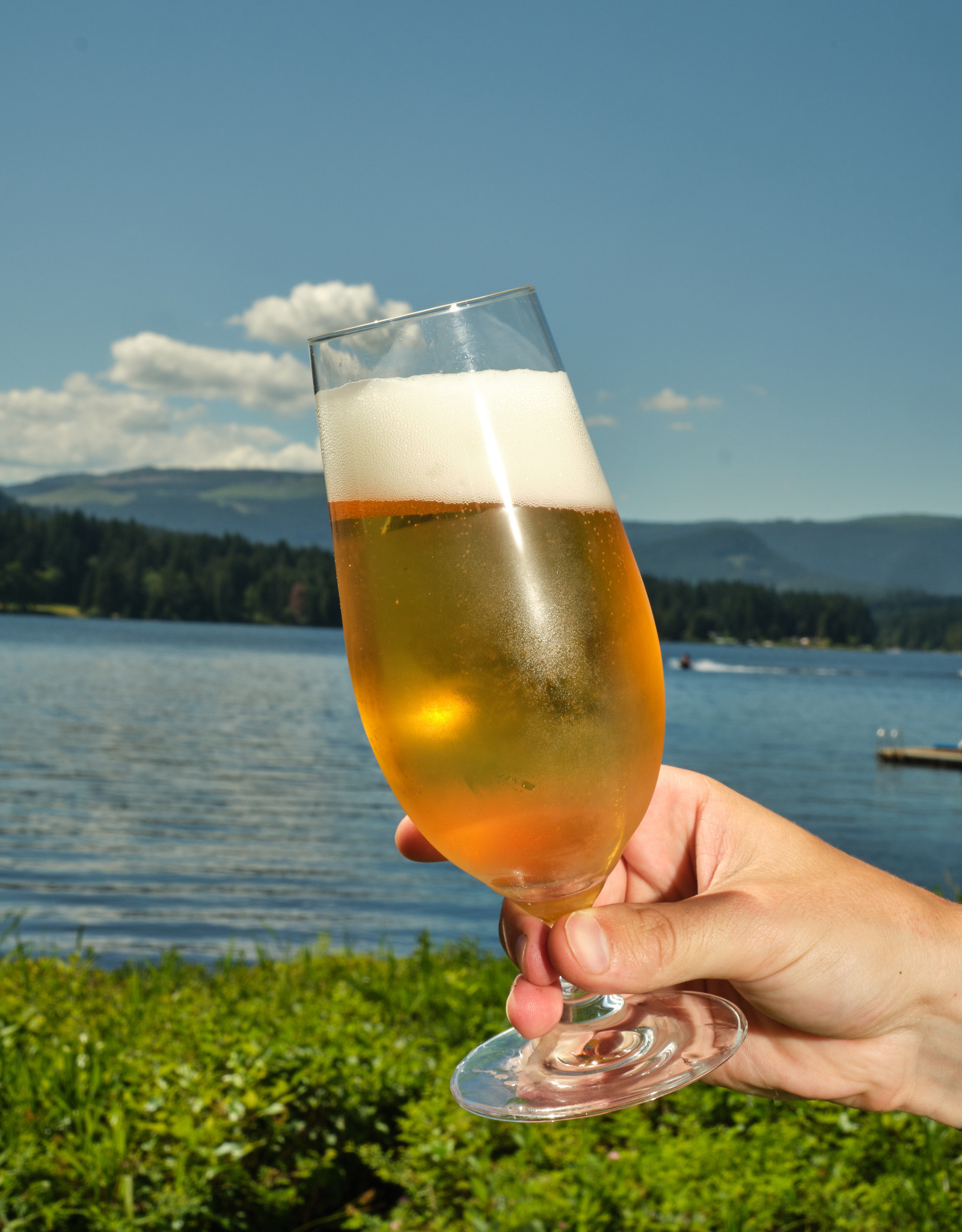 Stemmed Pilsner Glass, 17oz