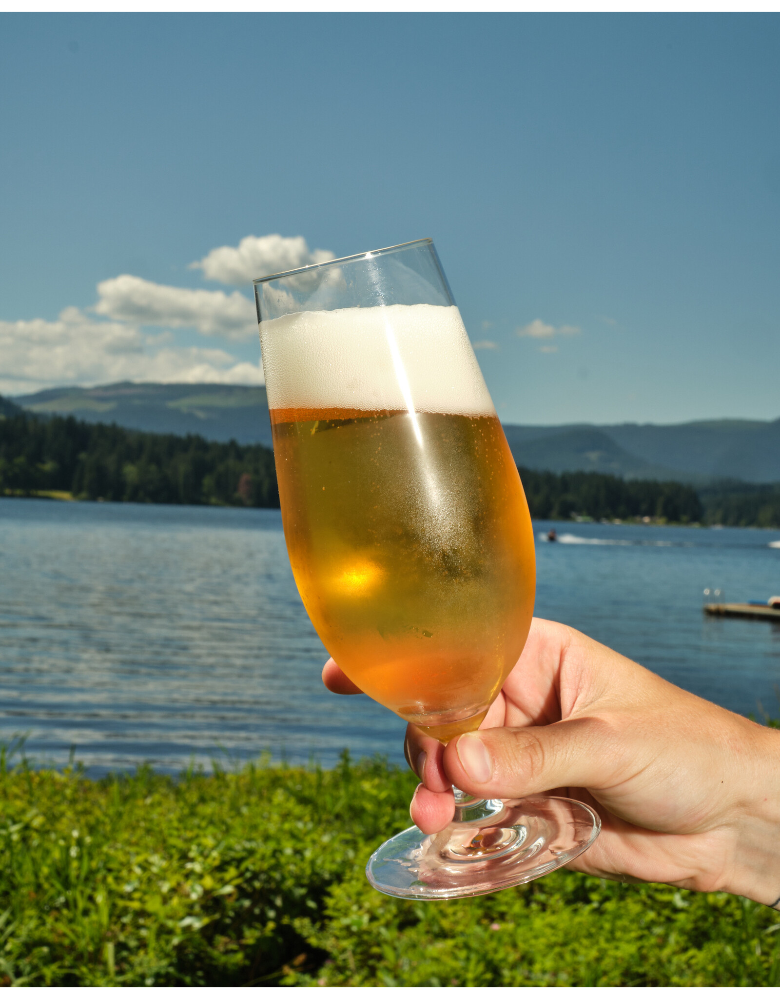 Stemmed Pilsner Glass, 17oz