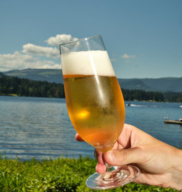 Stemmed Pilsner Glass, 17oz