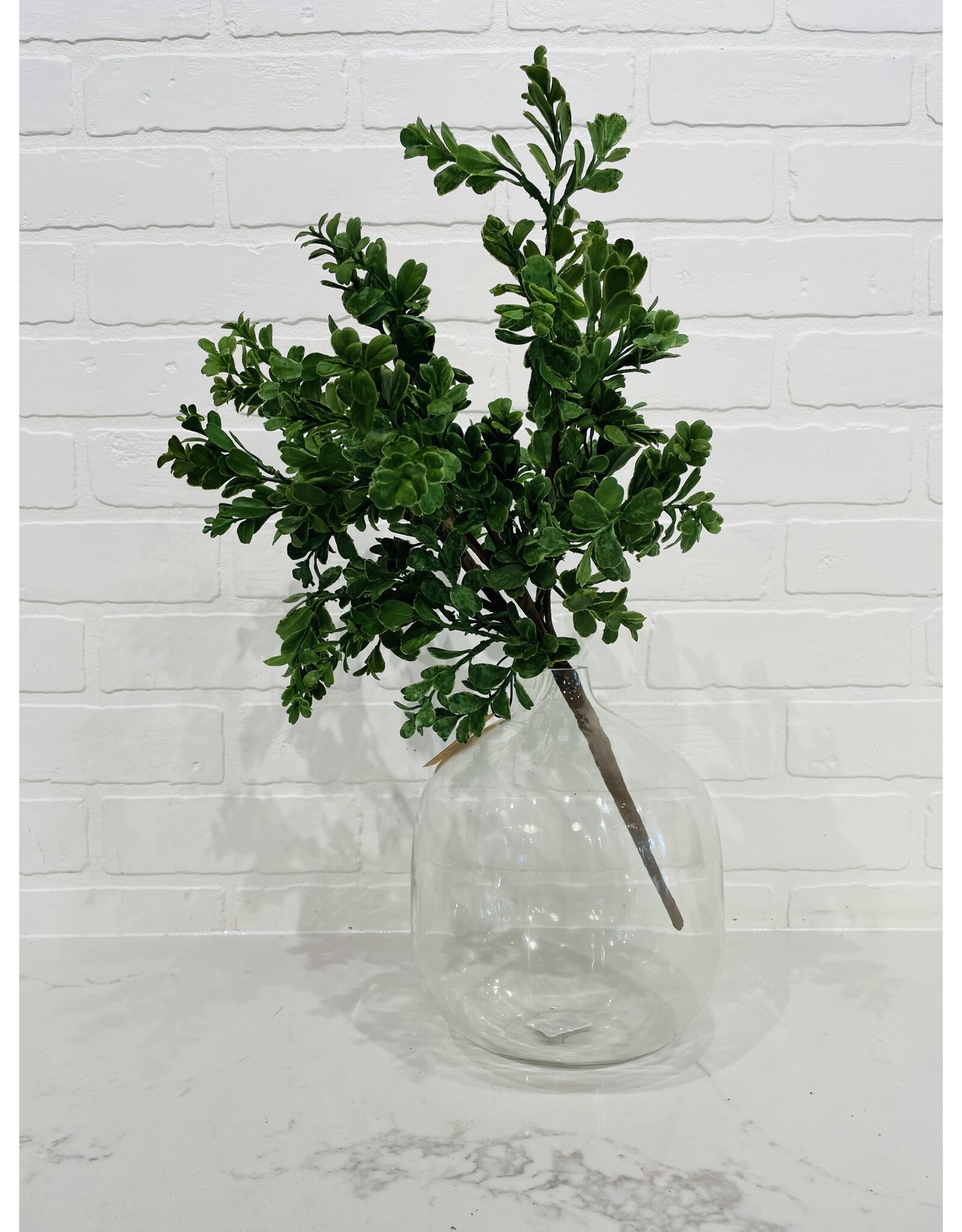 Boxwood Spray