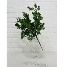 Boxwood Spray