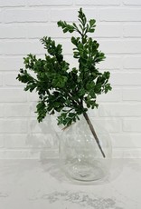 Boxwood Spray