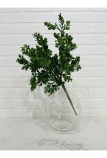 Boxwood Spray