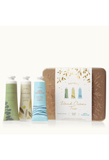 Eucalyptus, Olive Leaf & Aqua Coralline Hand Cream Trio