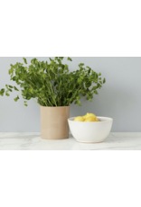 Bria Hammel Utensil Holder, Natural
