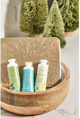 Eucalyptus, Olive Leaf & Aqua Coralline Hand Cream Trio