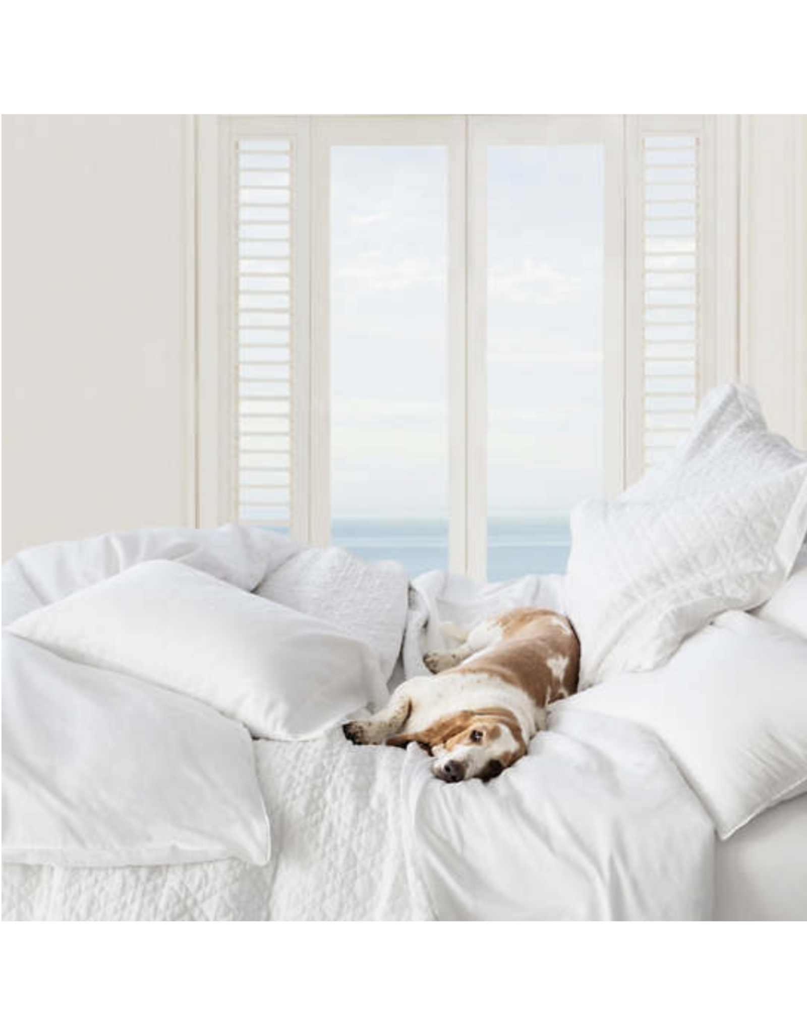 Essential Sateen Sheet Set - White