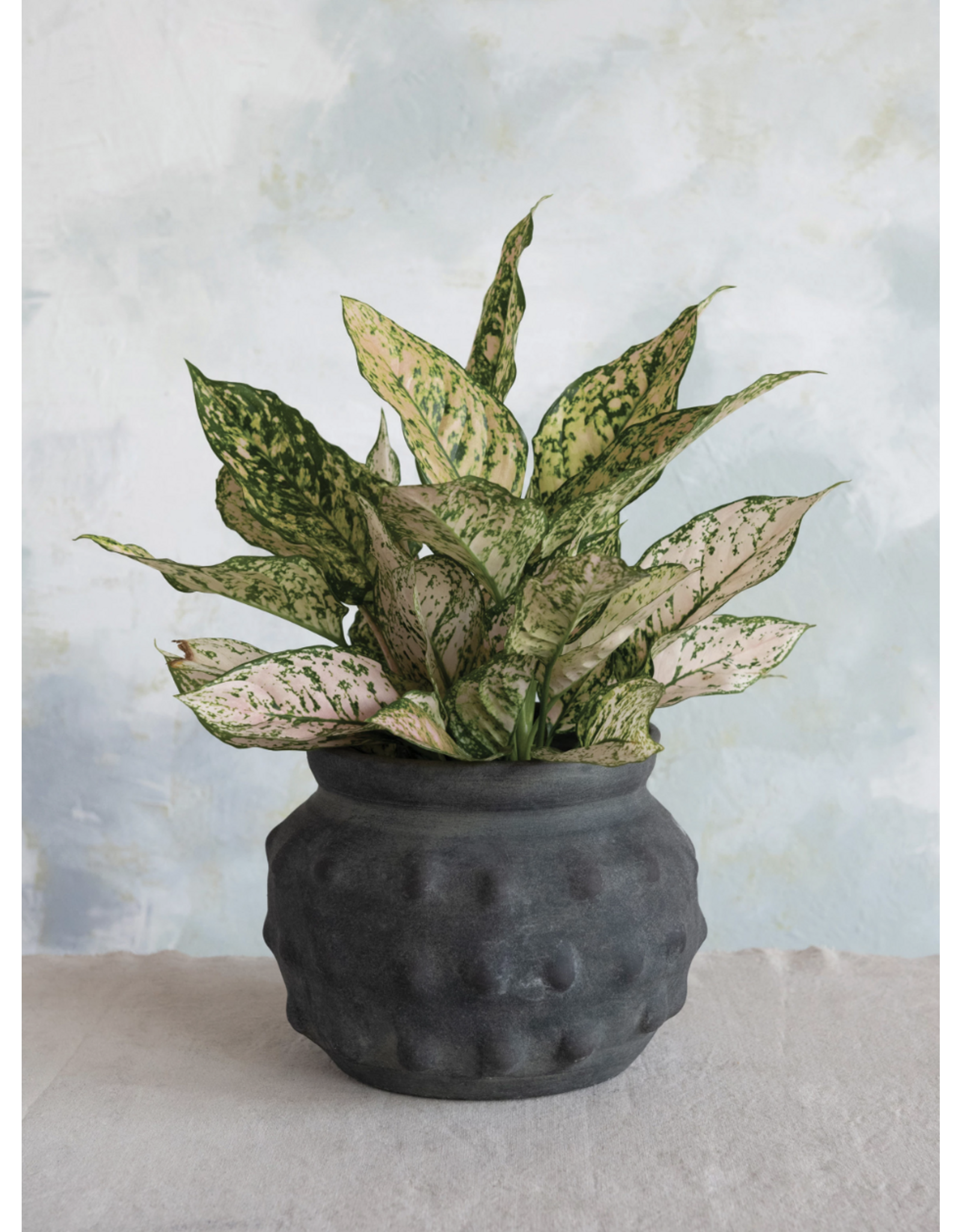Black Terracotta Vase with Raised Dots