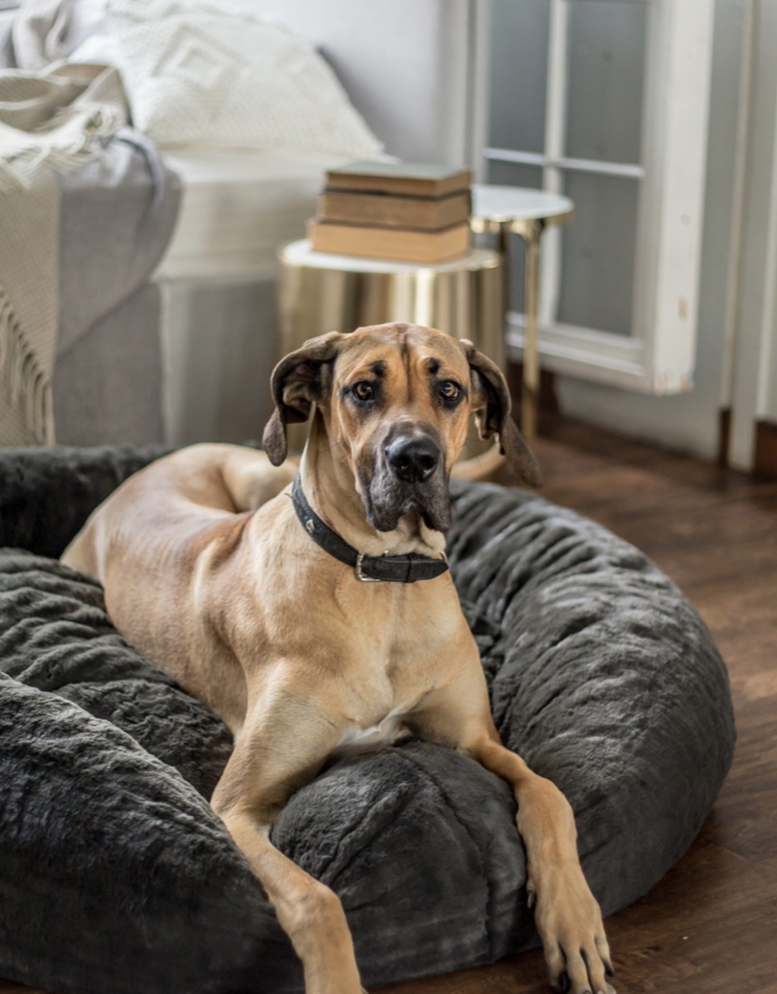 Plush Dog Bed - Charcoal