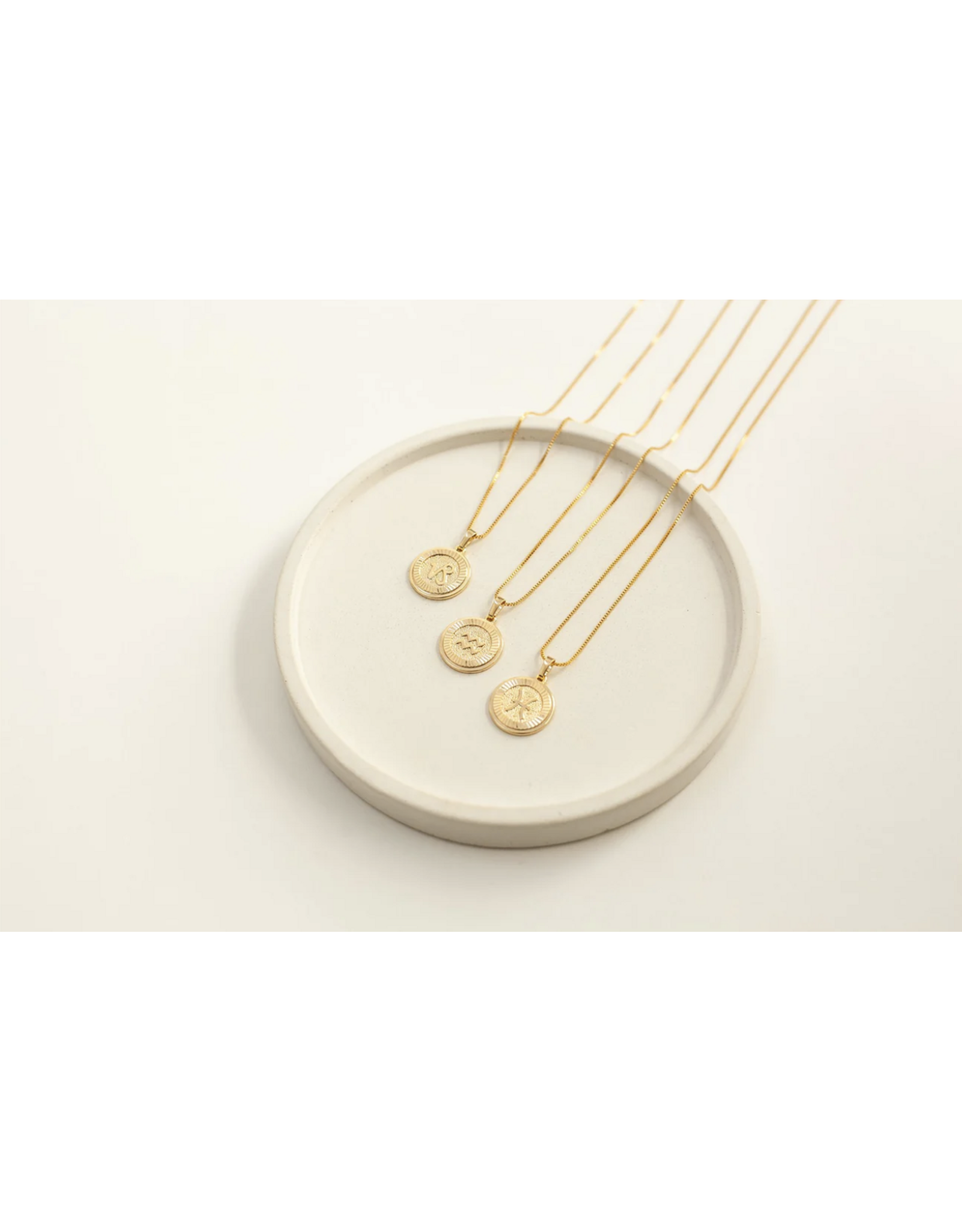 Zodiac  Necklace