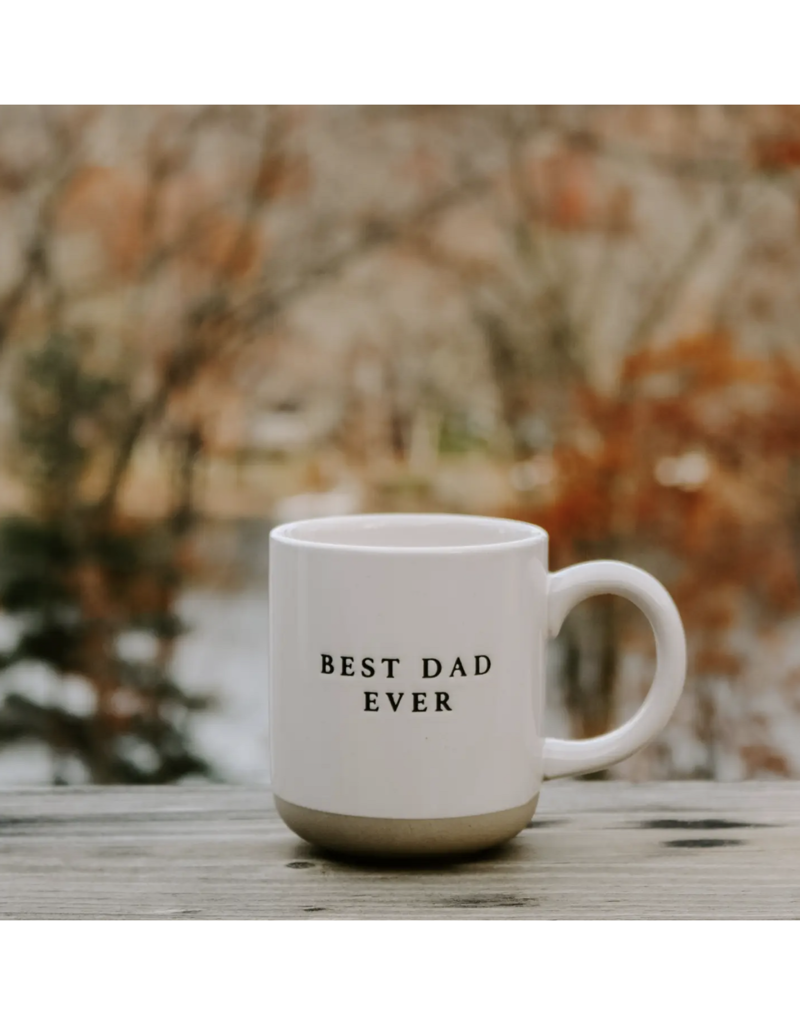 Best Dad Ever Mug