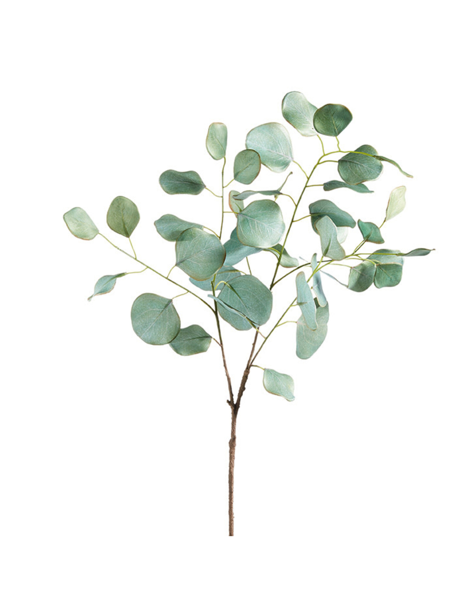 35.75" Eucalyptus Spray