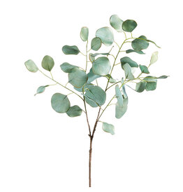 35.75" Eucalyptus Spray