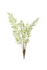 36" Monkey Palm Fern Spray