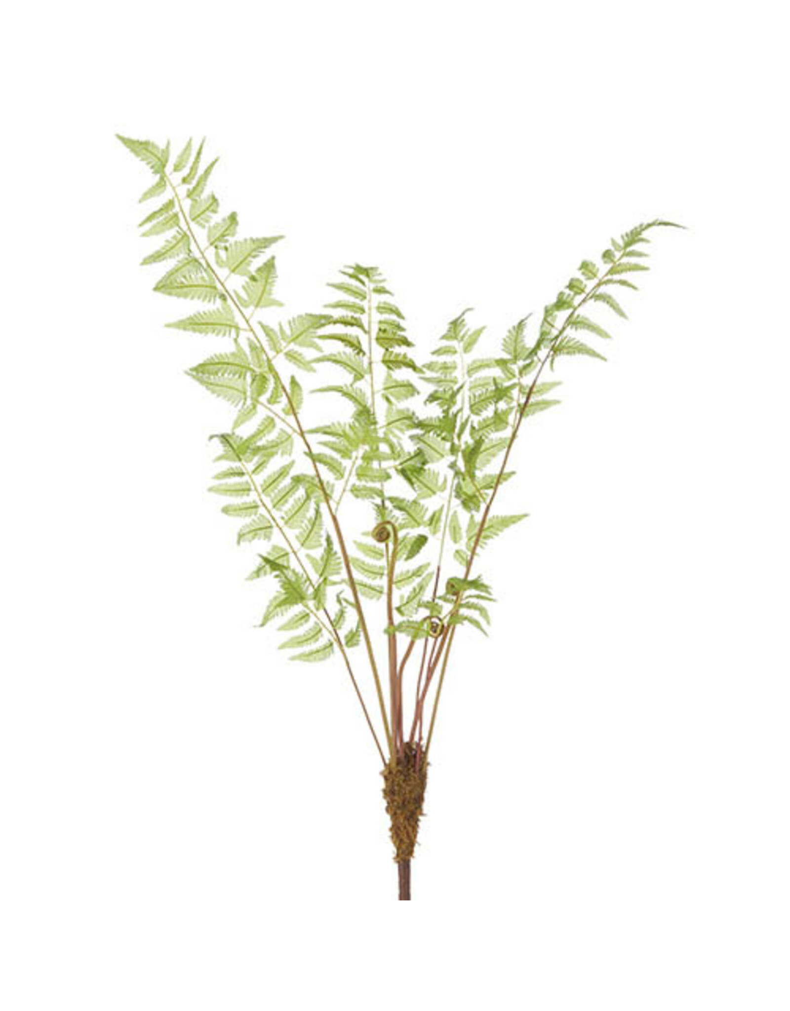 36" Monkey Palm Fern Spray