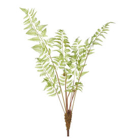36" Monkey Palm Fern Spray
