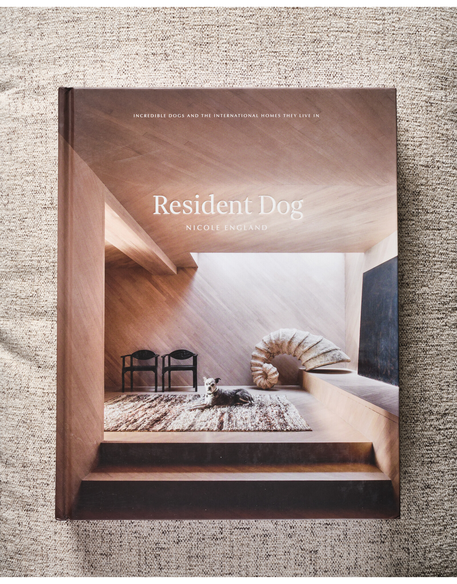 Resident Dog Volume Two