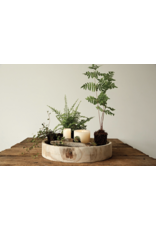 Hand-Carved Paulownia Wood Tray