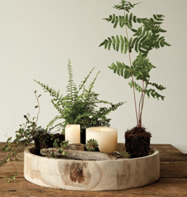 Hand-Carved Paulownia Wood Tray