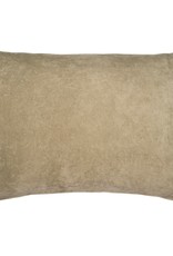 Vera Velvet Pillow, Celery 16x24