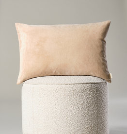 Vera Velvet Pillow, Bisque 16x24