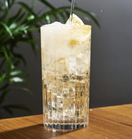 European Crystal Highball Tumblers