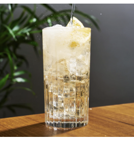 European Crystal Highball Tumblers