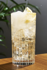 European Crystal Highball Tumblers