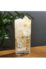 European Crystal Highball Tumblers