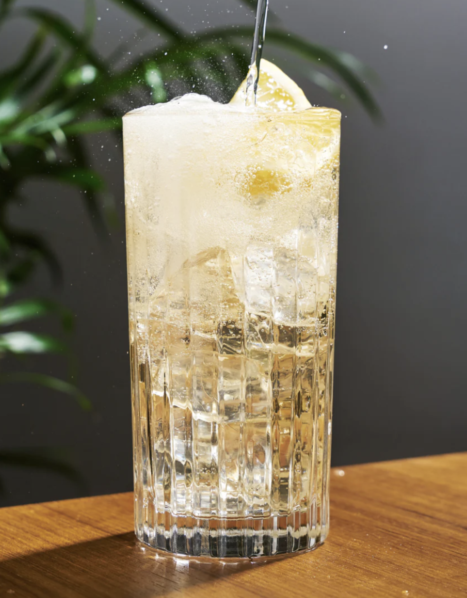 European Crystal Highball Tumblers