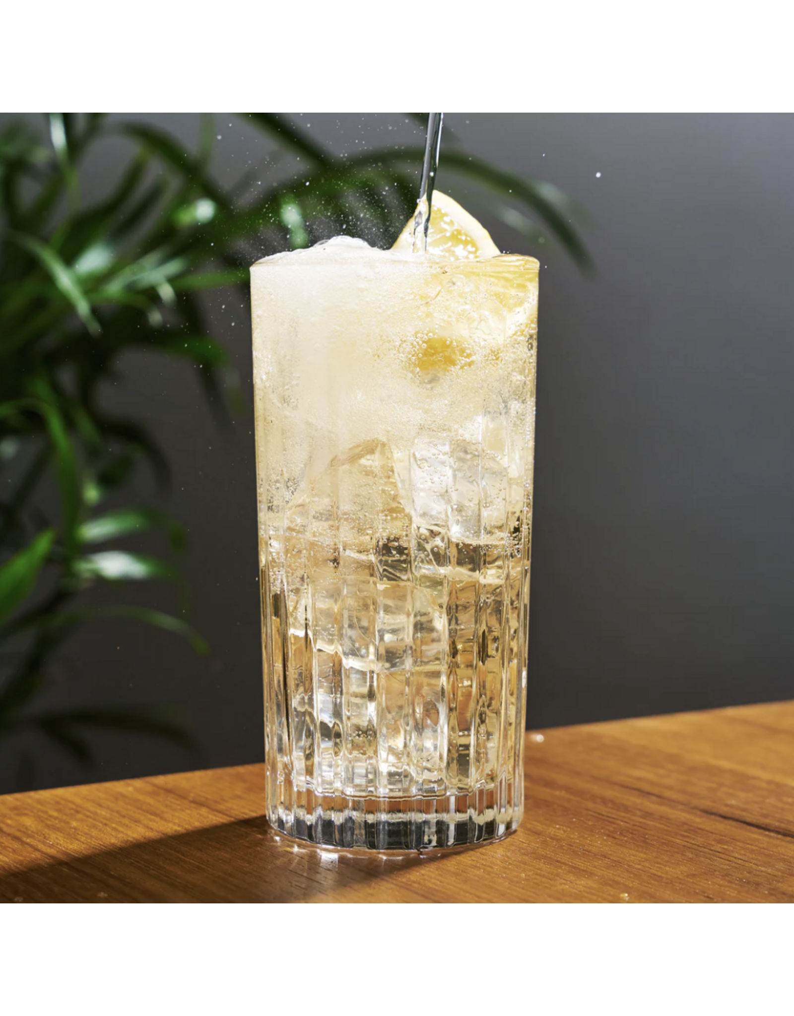 European Crystal Highball Tumblers