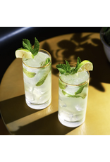 Meridian Highball Glasses