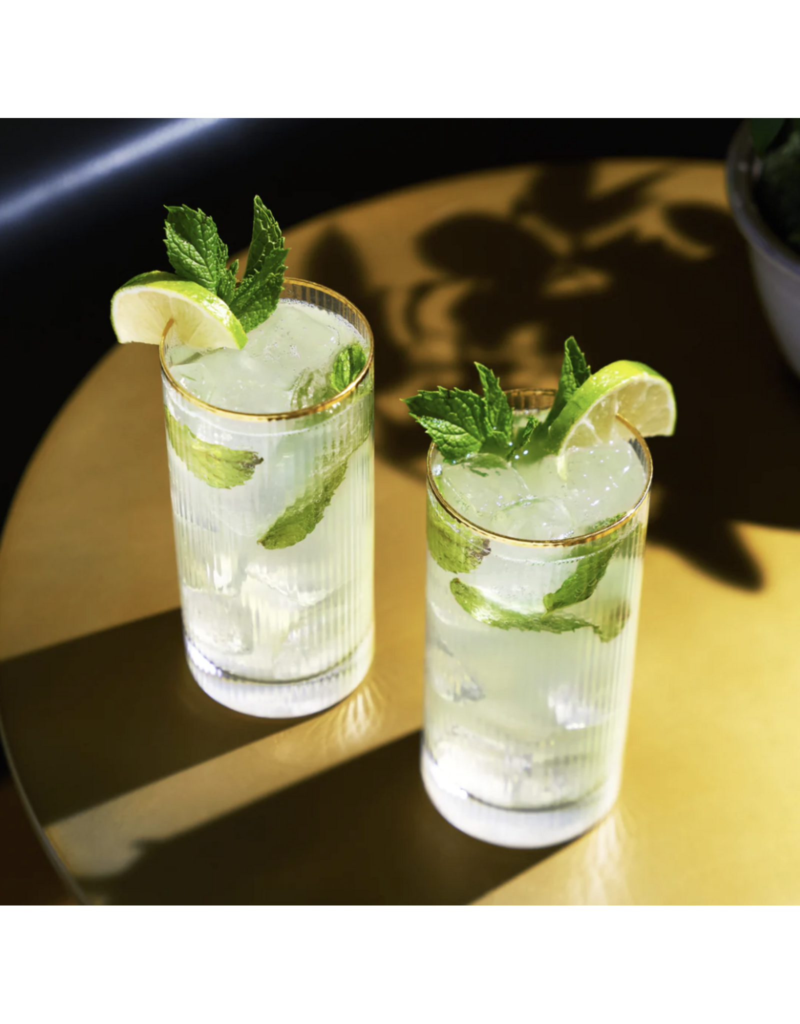 Meridian Highball Glasses