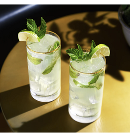 Meridian Highball Glasses
