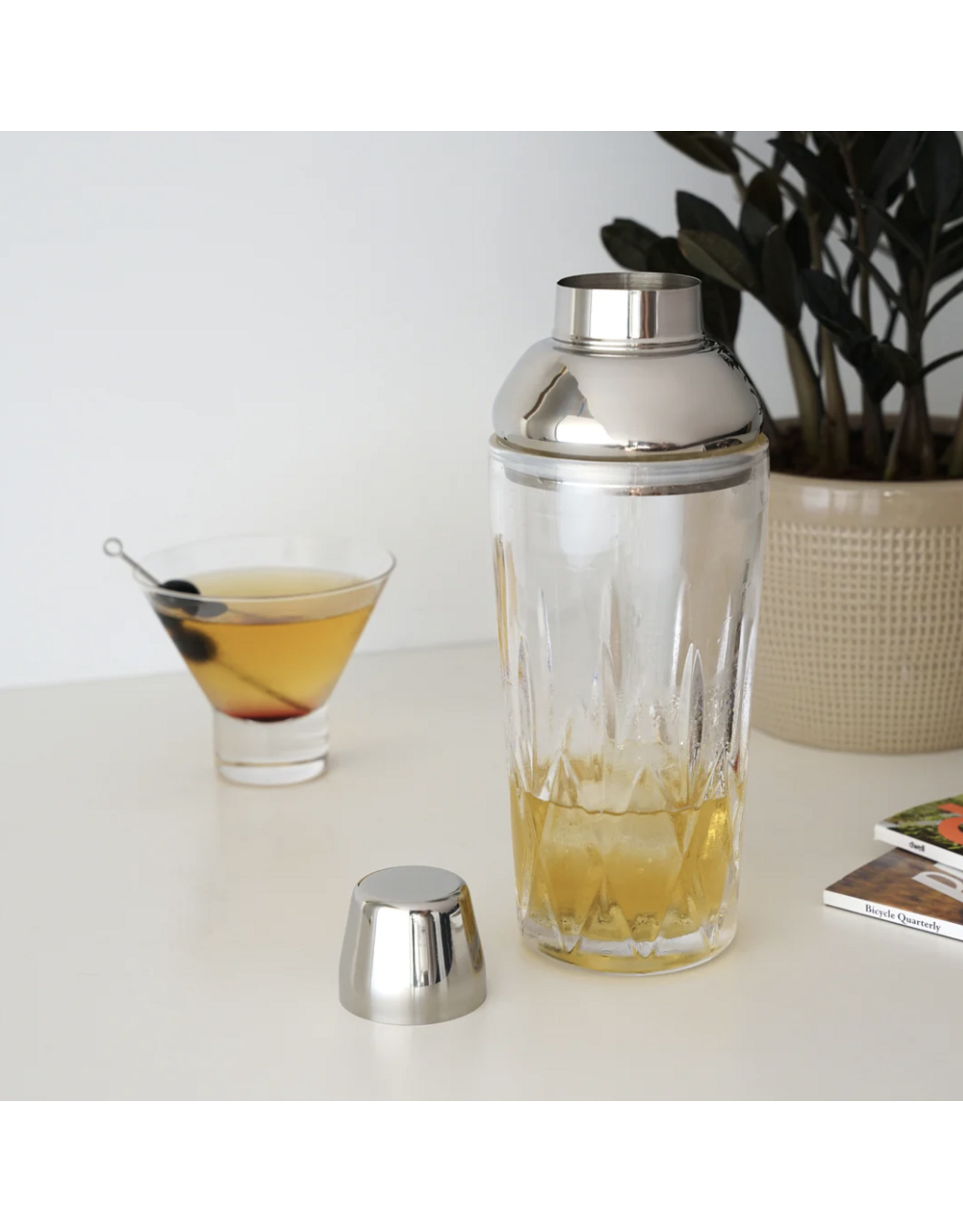 Admiral Glass Shaker