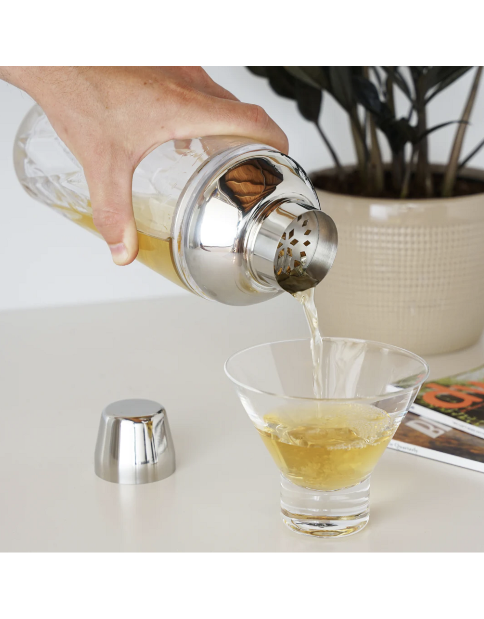Admiral Glass Shaker